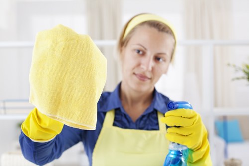 Pet stain odour removal in carpeted living room