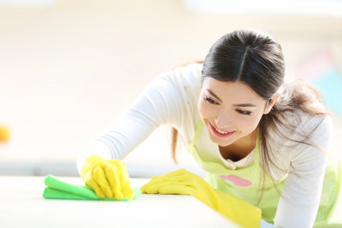 Steam carpet cleaning process in a residential living room