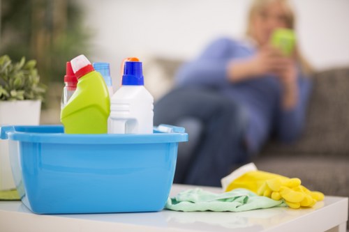 Efficient household appliances and reduced energy use