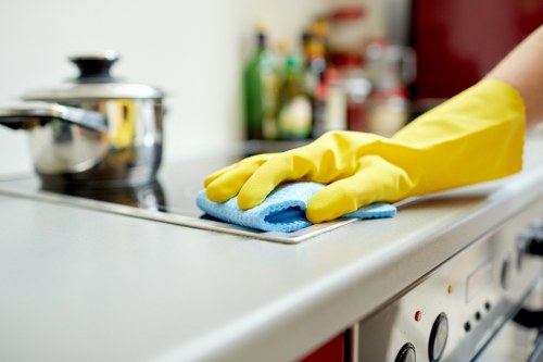 Deep pet stain odour removal in carpet and padding