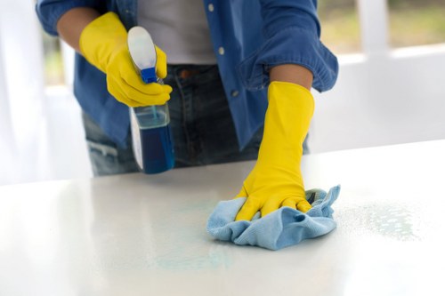 Vacuuming a mattress to remove dust and allergens