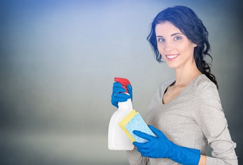 Upholstery and carpet stain removal in a home setting